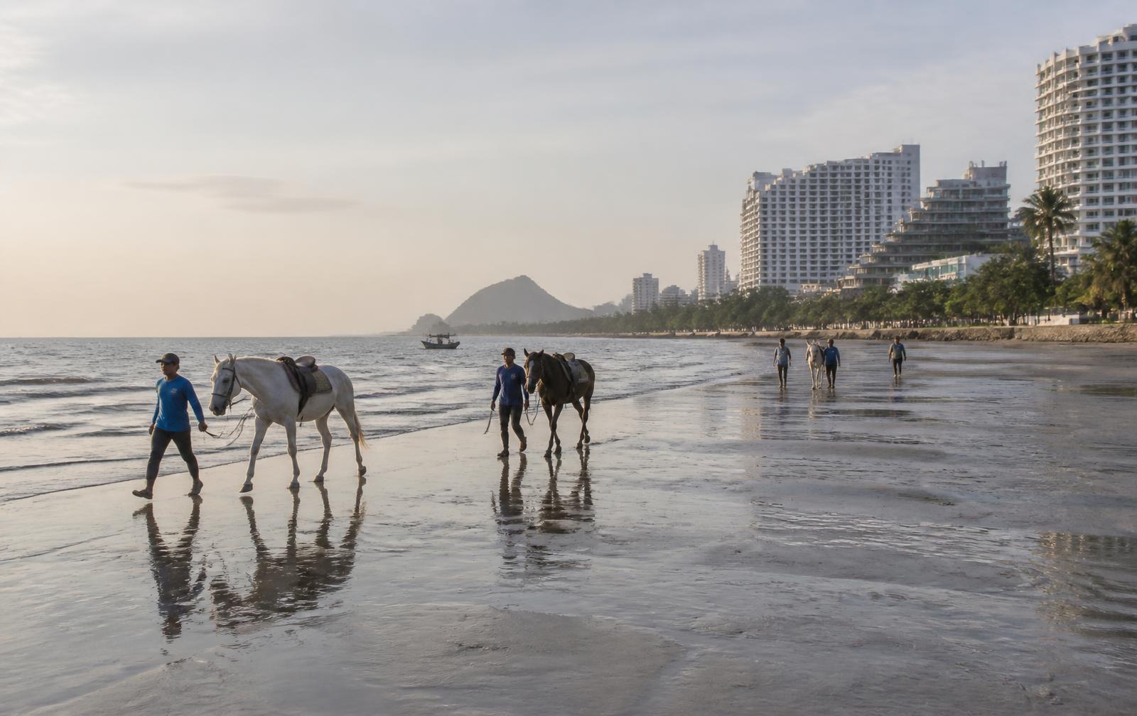 Horses being walked along the wet sand of Hua Hin Beach at sunrise with the town's hotels behind